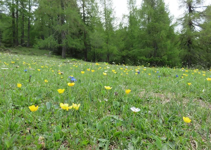 Parleitnerhof Ferienwohnung Abendrot
